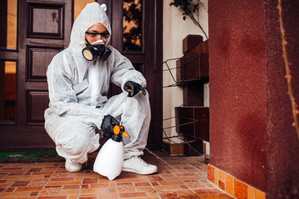 Reliable Ant Control contractor in Edinburg, VA by Nex Pest Control