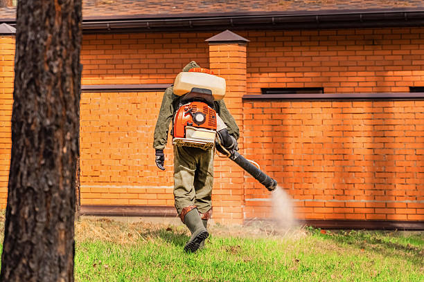 Trusted Bed Bug Control service in Edinburg, VA - Nex Pest Control